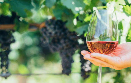 Wine