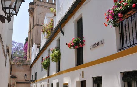 toledo
